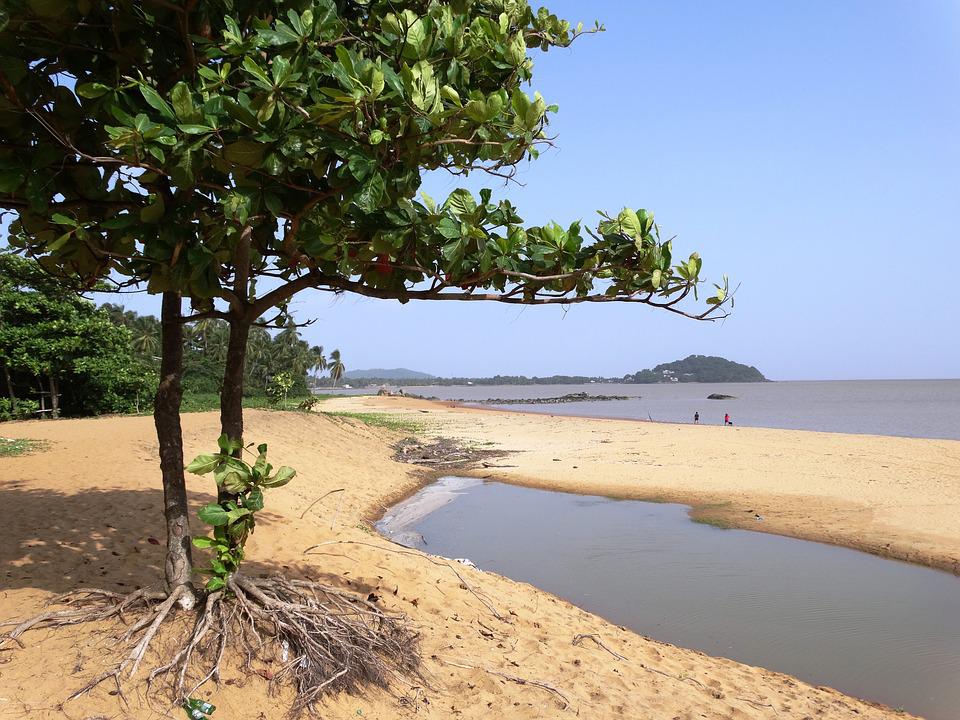 Quels Sont Les Lieux Incontournables De La Guyane Française Voyager En Guyane Française 